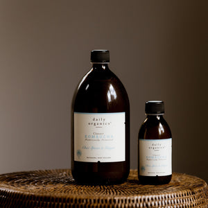 Daily Organics Chai Spice & Ginger kombucha