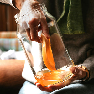 Daily Organics Scoby for Kombucha