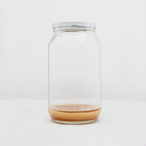 Daily Organics Scoby for Kombucha