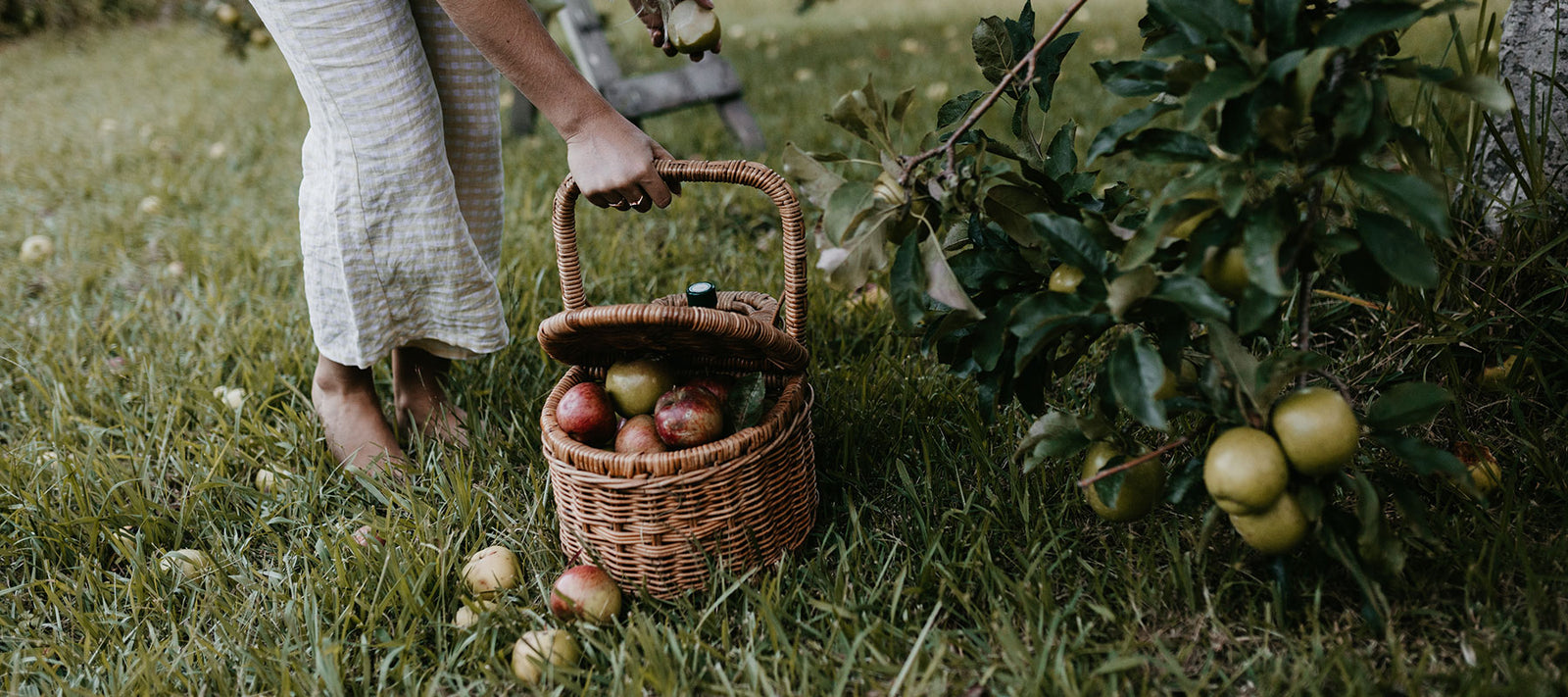Daily Organics Apple Cider Vinegar 