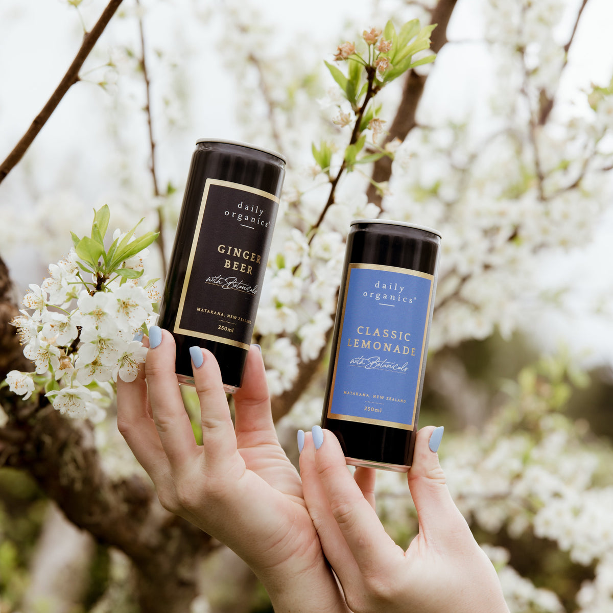 Botanical Soda&#39;s Mixed Box - Ginger Beer &amp; Lemonade